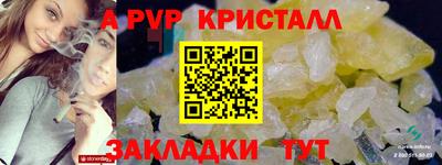 apvp Кингисепп