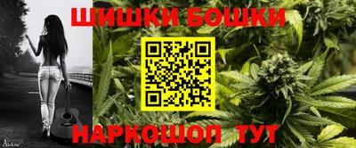 apvp Кингисепп