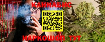 apvp Кингисепп