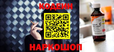 apvp Кингисепп