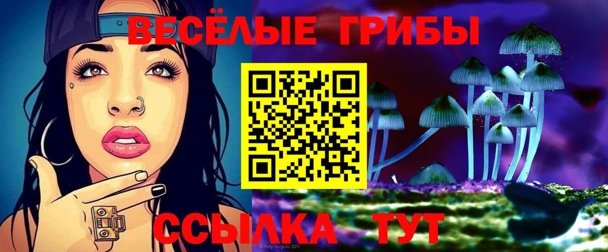 Котовск  Псилоцибиновые грибы GOLDEN TEACHER  Вход с VPN 